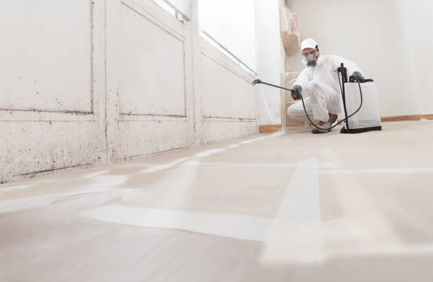 24/7 Emergency Mold Remediation experts in Parrish, FL